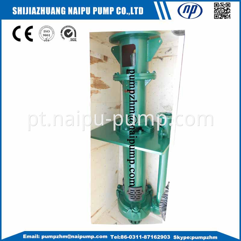 06 High chrome vertical pump